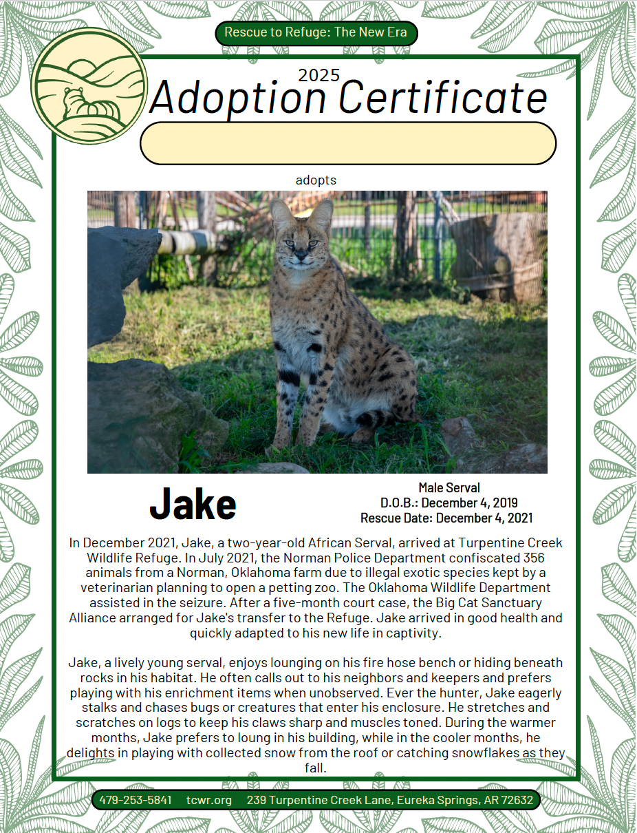 Jake Serval Adoption