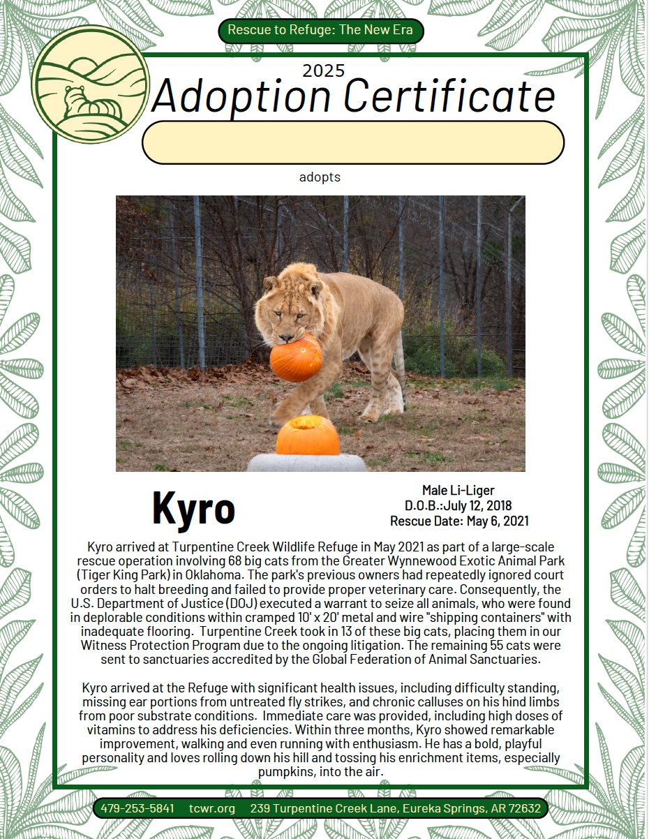 Kyro Li-Liger Adoption