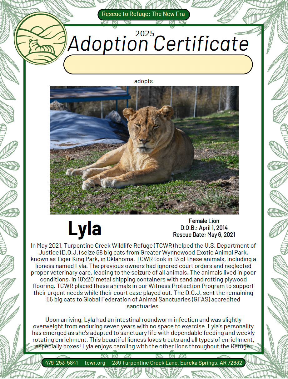 Lyla Lion Adoption