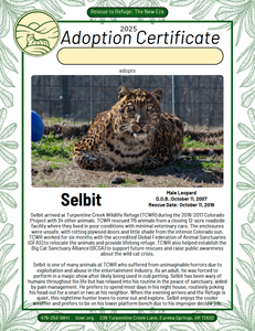 Selbit Leopard Adoption