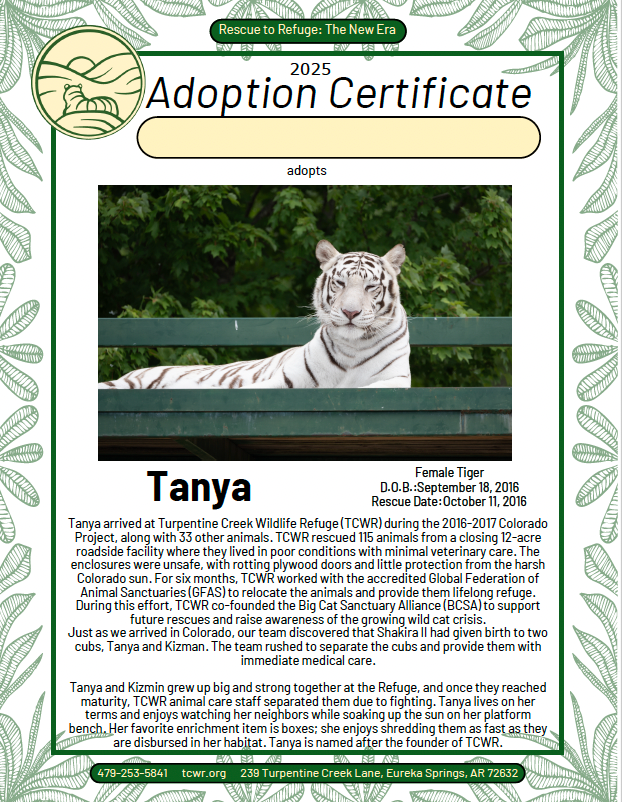 Tanya Tiger Adoption