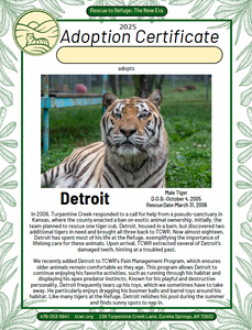 Detroit Tiger Adoption