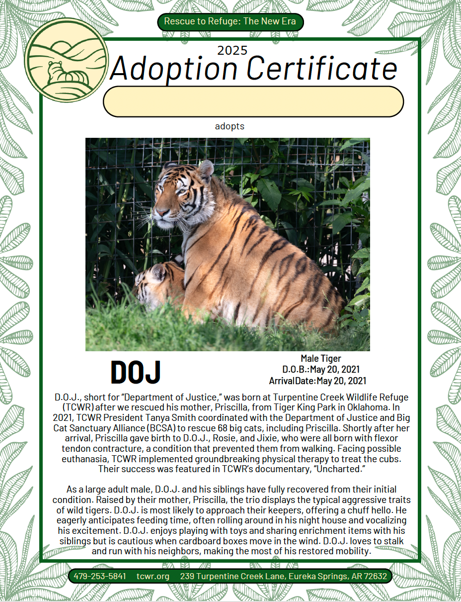 DOJ Tiger Adoption