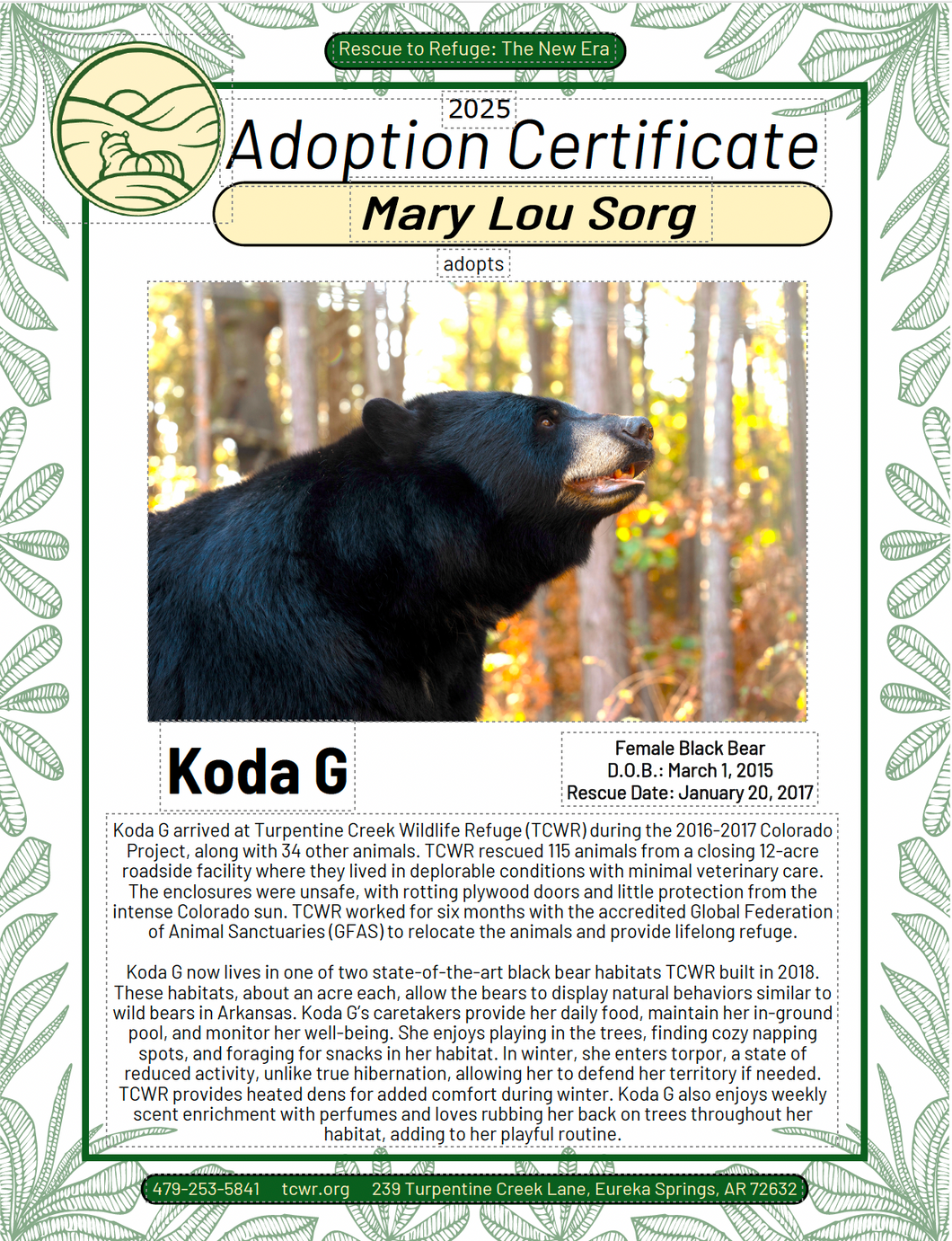 Xena Bear Adoption