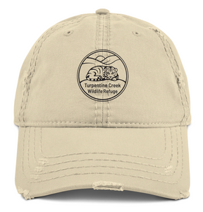 Bold New Logo Twill Ball Cap