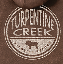 Load image into Gallery viewer, Puffed Lion Design Nantucket Hoodie
