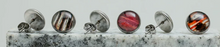 Load image into Gallery viewer, Lionfish Fin Medium Stud Earrings
