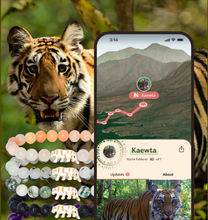 Load image into Gallery viewer, Fahlo Track a Tiger Prowl Bracelet
