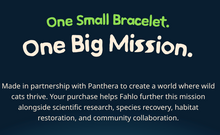 Load image into Gallery viewer, Fahlo Track a Tiger Prowl Bracelet
