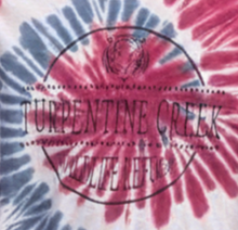Load image into Gallery viewer, Coin Tiger Adult Americana Tie Dye Tee
