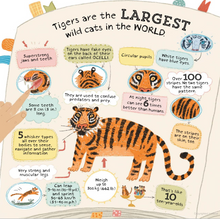 Load image into Gallery viewer, Is This a Tiger?
