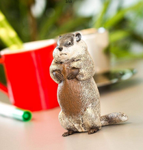 Load image into Gallery viewer, Ground HogToy Figure
