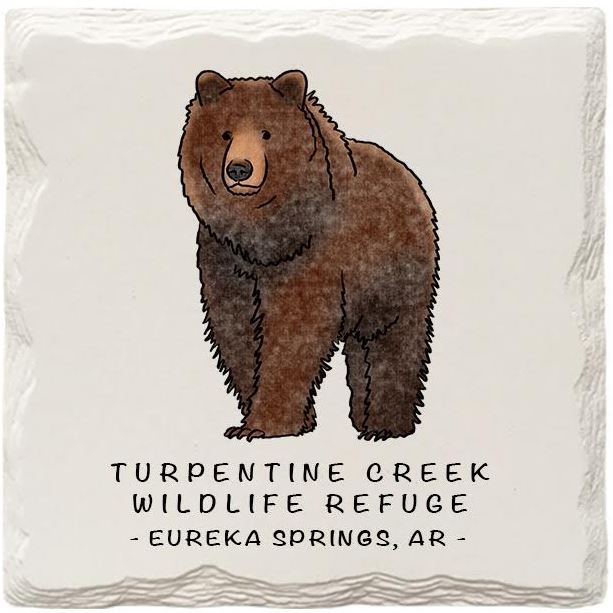 Stone Grizzly Bear Doodle Coaster