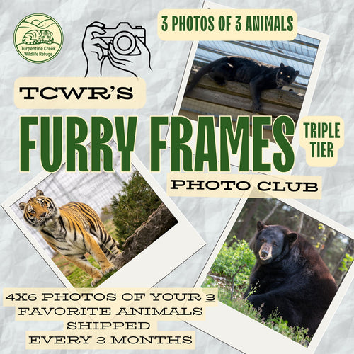 Furry Frames Club Triple Tier