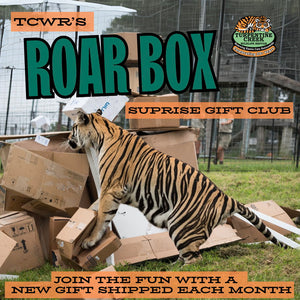 Roar Box Subscription 