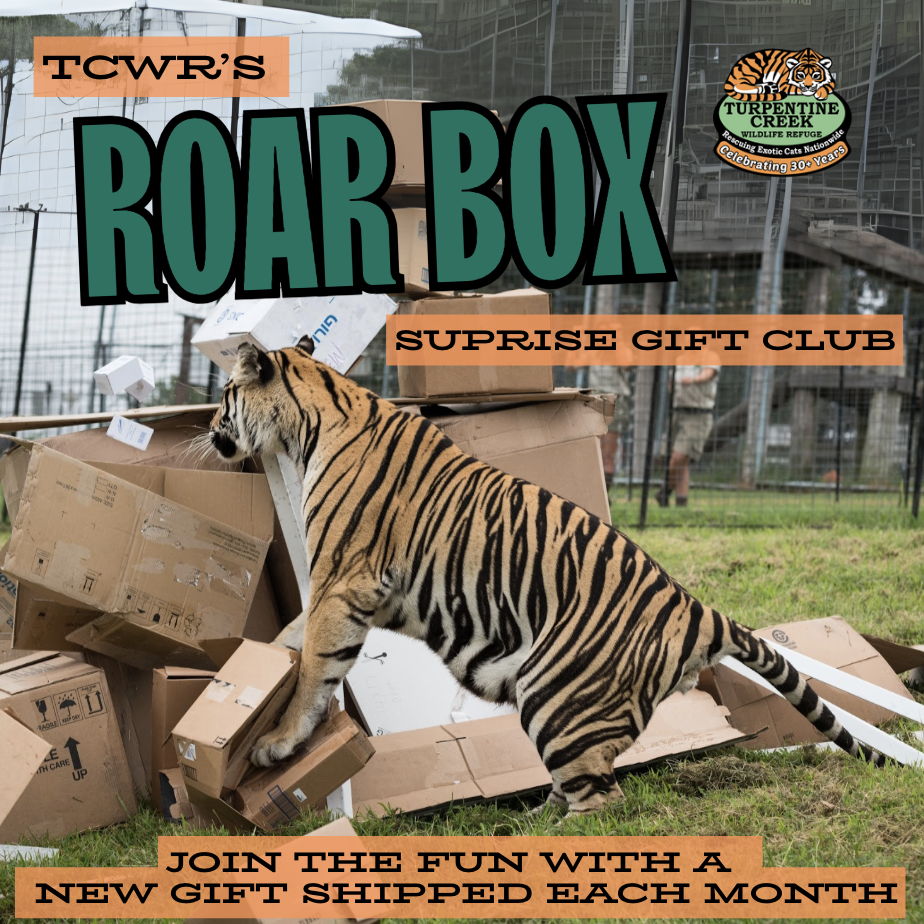 Roar Box Subscription 