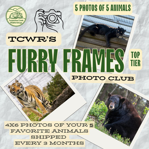 Furry Frames Club Top Tier