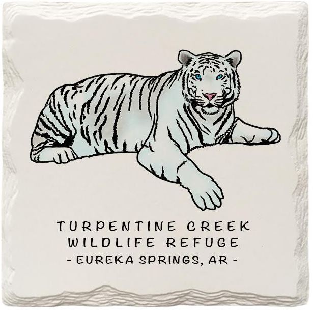 White Tiger Doodle Coaster