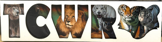 Cut-out Photo Wooden Magnet