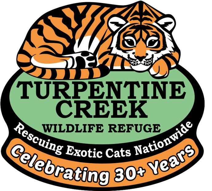 Logo Decal