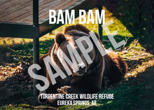 Load image into Gallery viewer, Bam Bam Bear Photo Magnets
