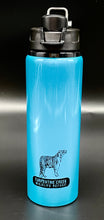 Load image into Gallery viewer, Aluminum Tiger Sketch Water Bottle
