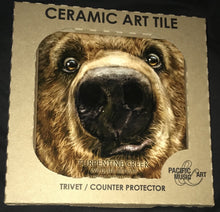 Load image into Gallery viewer, LAST CHANCE!! Funny Face Grizzly Ceramic Tile
