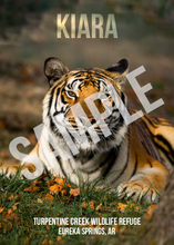 Load image into Gallery viewer, Kiara Tiger Photo Magnet
