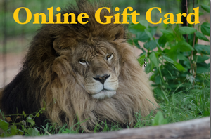 "Online Store Only" Gift Card