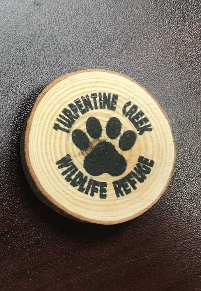 Real Wood Slice Magnet