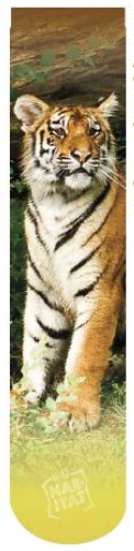 Tiger Sublimated Socks