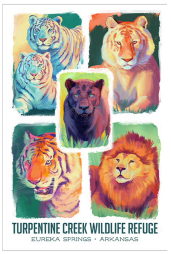Watercolor Big Cat Collage Greeting Card