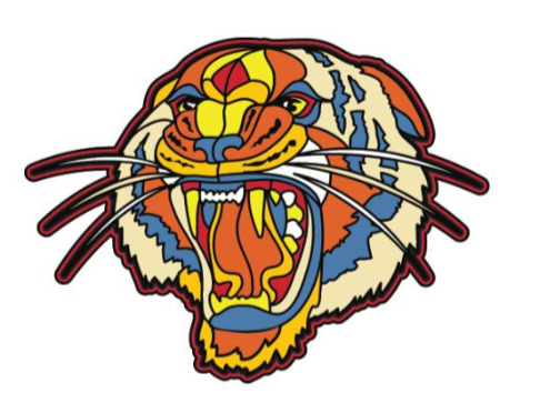 Enamel Multi-Colored Tiger Pin