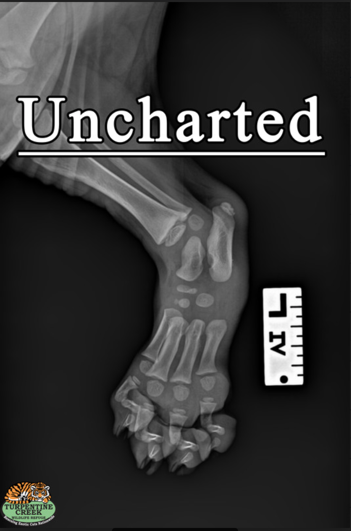 Uncharted Documentary