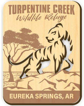 Wood Cut-Out Tiger Magnet