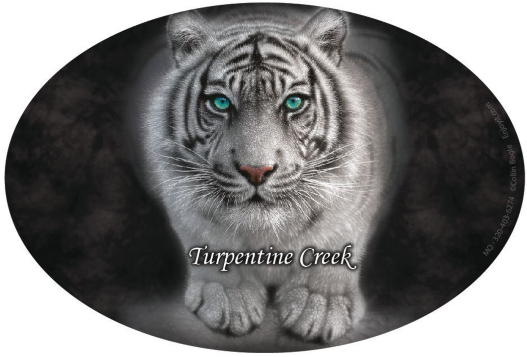Wild Intentions White Tiger Car Magnet