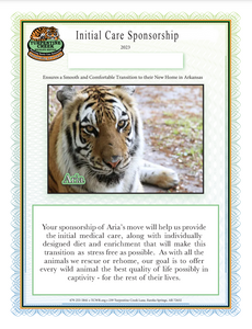 Aria the Tiger Initial Care Sponsorship
