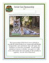 Load image into Gallery viewer, Dutchess the Tiger Initial Care Sponsorship
