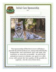 Dutchess the Tiger Initial Care Sponsorship