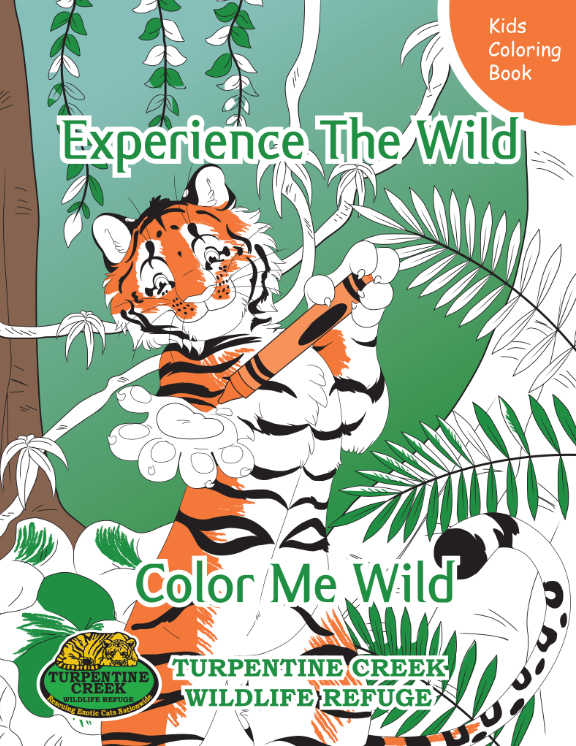 TC the Tiger Coloring Book