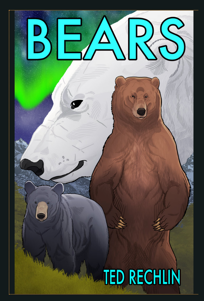 Bears Hard Cover Graphic Novel