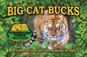 Big Cat Bucks "In-Person Only" Gift Card
