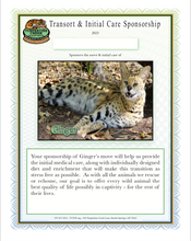 Load image into Gallery viewer, Ginger the Serval Initial Care Sponsorship
