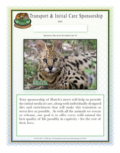 Load image into Gallery viewer, Hutch the Serval Initial Care Sponsorship
