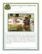 Load image into Gallery viewer, Jasmine the Tiger Initial Care Sponsorship

