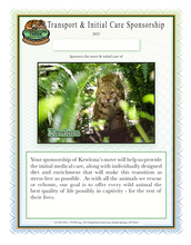 Load image into Gallery viewer, Kewlona the Bobcat Initial Care Sponsorship
