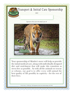 Kimba the Tiger Initial Care Sponsorship