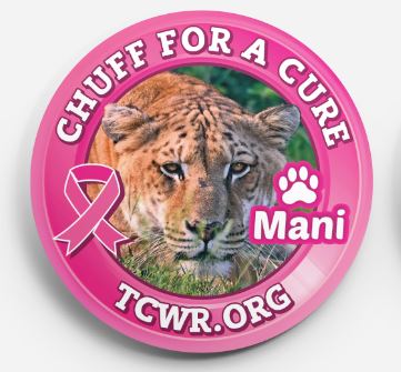 Chuff for a Cure Button