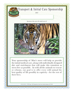 Max the Tiger Initial Care Sponsorship