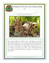 Load image into Gallery viewer, Nala the Serval Initial Care Sponsorship
